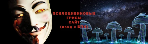 бошки Алексин