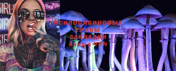 мяу мяу мука Алексеевка