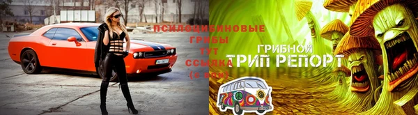 мяу мяу мука Алексеевка