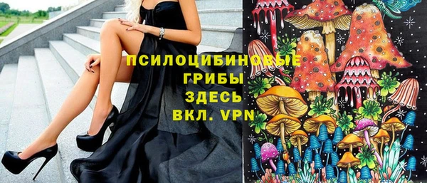 мяу мяу мука Алексеевка